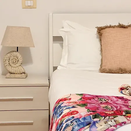 Flowers & Apartment