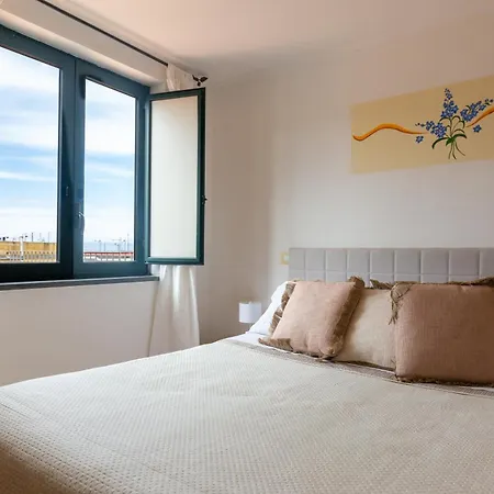 Flowers & Apartment